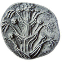Silber-Tetradrachme aus Kyrene - Hellmut Baumann, Pflanzenbilder auf griechischen Münzen, München 2000 (Pflanze dort anders bestimmt)