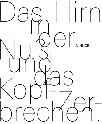 IN NUCE // Das Hirn in / der Nuß und das Kopf-/Zerbrechen. (12/08)